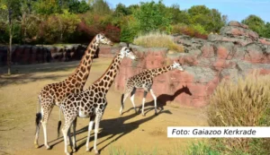 Gaiazoo in Kerkrade - Gaiazoo Kerkrade