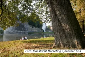 Stadspark vijver picknicken - Maastricht Marketing